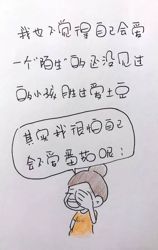 journal_insert_pic_956472341