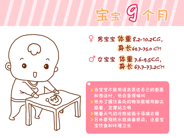 journal_insert_pic_960764780