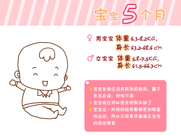 journal_insert_pic_960764776