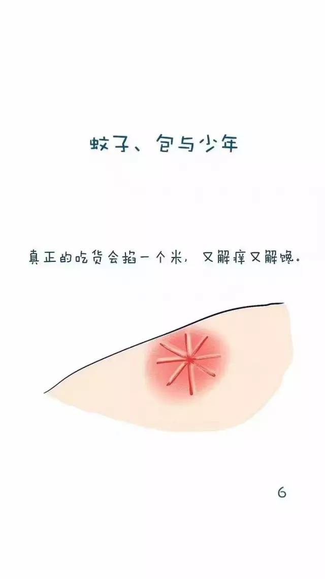 journal_insert_pic_967165479