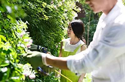 journal_insert_pic_962503373