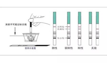 journal_insert_pic_959524356